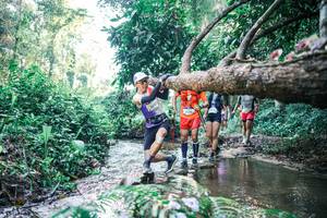 BIB: 
                            <button type="button" onclick="openModal(25432863)" class="btn btn-primary btn-sm float-right btn-popup" data-toggle="modal" data-target=".modal-high-quality">
                        <i class="fas fa-shopping-cart"></i> Add to Cart
                    </button>
                                            <button type="button" onclick="isThisMe(25432863, true)" class="btn btn-success btn-sm float-right btn-popup btn-isme hidden" data-toggle="tooltip" data-placement="bottom" title="นี่คือรูปของคุณใช่ไหม คลิกที่นี่เพื่อเอาเข้าอัลบั้ม">
                        <i class="fas fa-plus"></i> Add to album
                    </button>
                    <button type="button" onclick="isThisMe(25432863, false)" class="btn btn-warning btn-sm float-right btn-popup btn-isnotme hidden">
                        <i class="fas fa-ban"></i> Remove from album
                    </button>